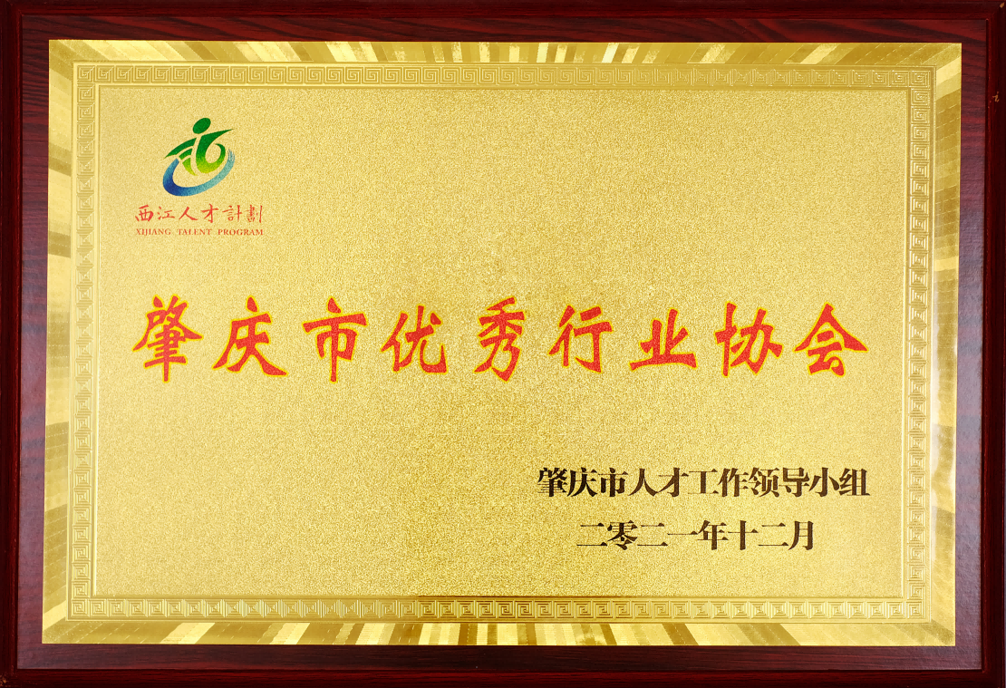 2021年肇慶市優秀行業協會牌匾.png